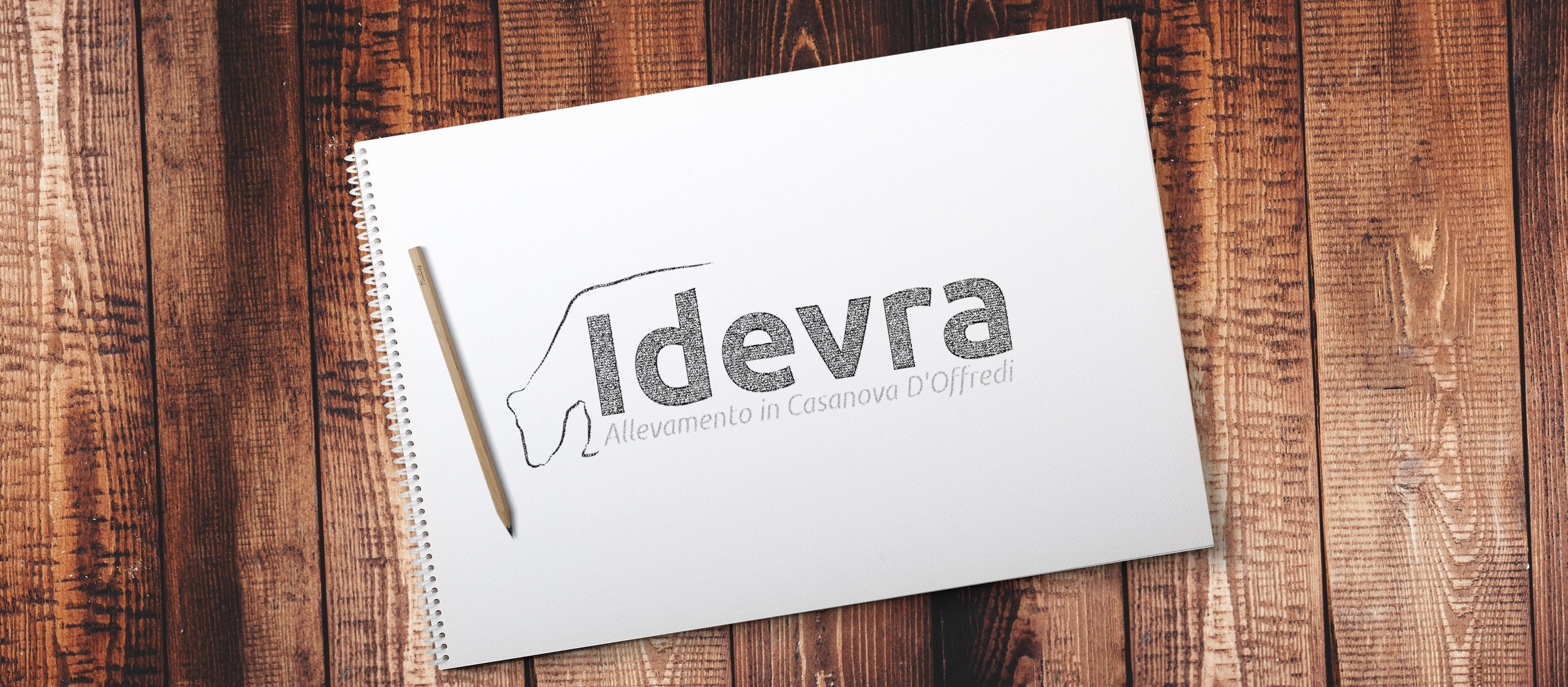 logo idevra